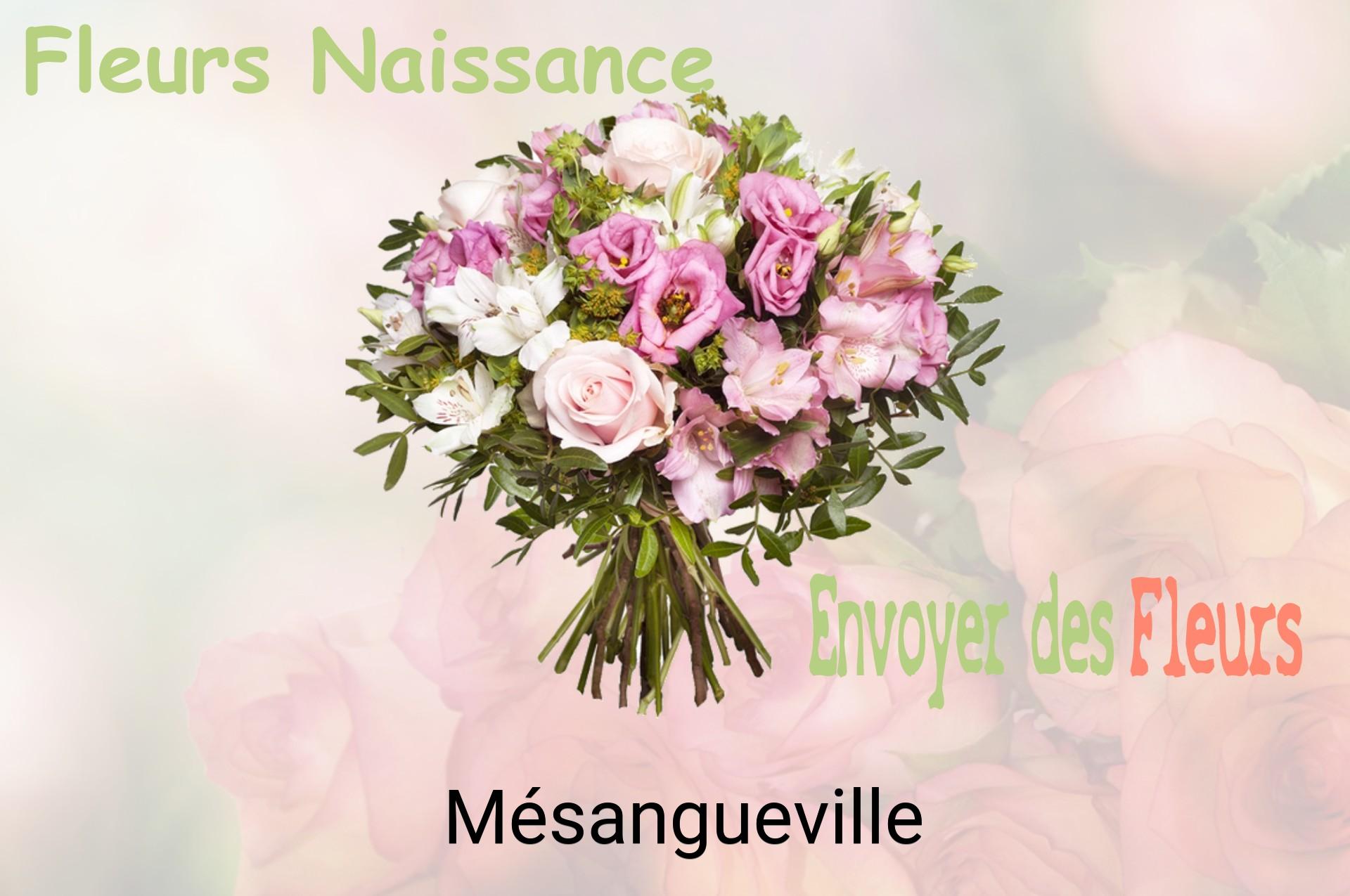 Bouquet de fleurs de naissance livré à Mésangueville